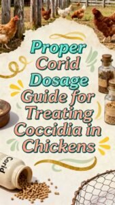 Proper Corid Dosage Guide For Treating Coccidia In Chickens