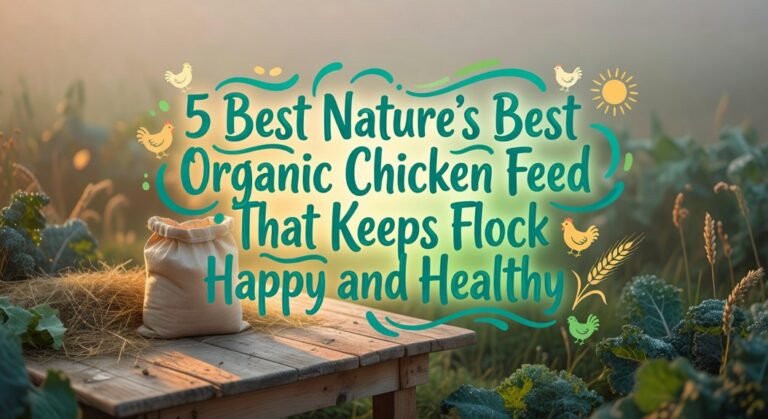 best organic chicken feeds