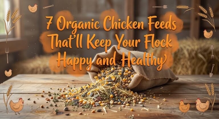 healthy organic chicken feeds