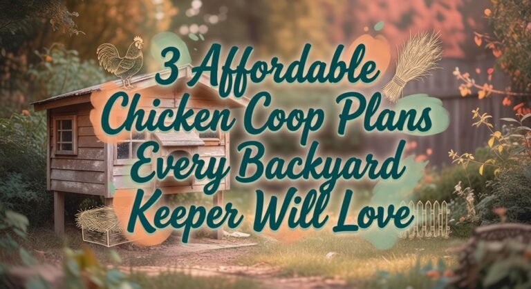 three cheap coop designs